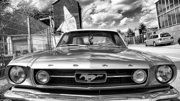 Mustang Wallpapers screenshot 1