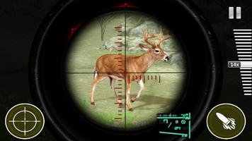 Safari Hunting : Hunt Games screenshot 3