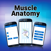 Muscle Anatomy icon