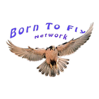 Born To Fly Network アイコン