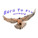 Born To Fly Network آئیکن