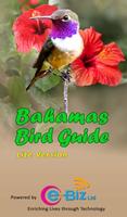Bahamas Bird Guide पोस्टर