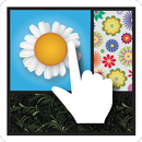 APK PhotoEditer