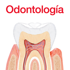 Diccionario odontología ikona