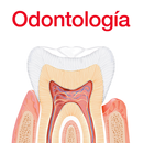 Diccionario odontología APK