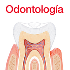 Diccionario odontología icône