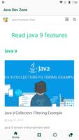 Java Dev Zone poster