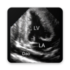 ECHOCARDIOGRAPHY GUIDE icône