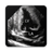 ECHOCARDIOGRAPHY GUIDE APK