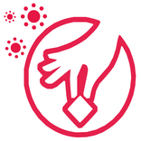 Pikkado