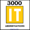 3000 IT Abbreviations