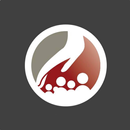 Perris Spanish SDAC APK
