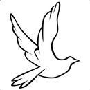 TOFWC APK
