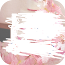 ECI 360 APK