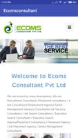 Ecoms Consultant poster