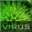 Virus Infection Game