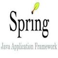 Spring Guides