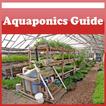 How To Create Aquaponics Guide
