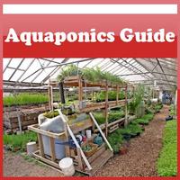 How To Create Aquaponics Guide Poster