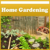 Home Vegetable Gardening Tips poster
