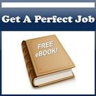 How To Get The Perfect Job ! icône