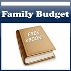 How To Set Up A Family Budget!-icoon