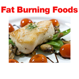 Fat Burning Foods ! icon