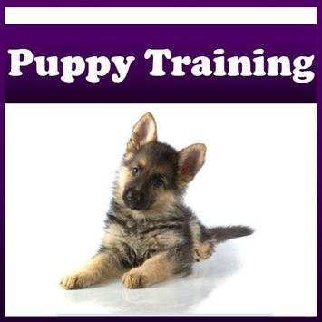 Puppy Training ! poster