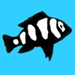 AquariumFish.net