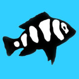 AquariumFish.net simgesi