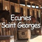 Les Écuries Saint Georges icône