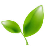 Watchdog Classic(Polex)