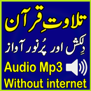 Alafasy Quran Mp3 Tlawat Audio APK