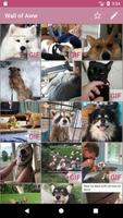 Wall of Aww скриншот 3