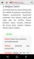 Edebiyat Ders Notları - Türkçe screenshot 2