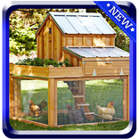 Chicken Coop Design