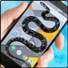 Snake Screen icon