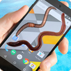 Worm Joke On  Screen Prank APK