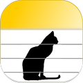 cat notes