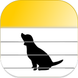 dog Notes
