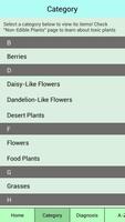 Edible Plant Guide Cartaz