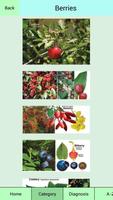 Edible Plant Guide capture d'écran 1