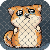 Shiba Inu – Virtual Pet