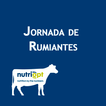 Jornada Rumiantes - Trouw