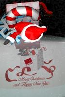 Edis Christmas AR 3D screenshot 1