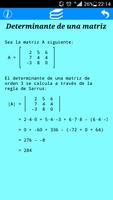 Determinantes 스크린샷 2