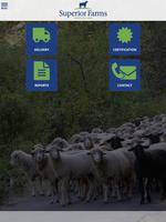 Superior Farms Procurement poster