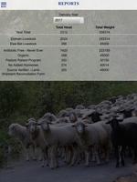Superior Farms Procurement screenshot 2