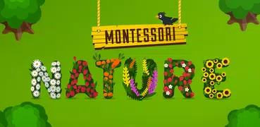 Montessori大自然