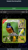 1000 Kicau Burung Offline capture d'écran 3